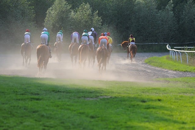 comment-gagner-au-multi