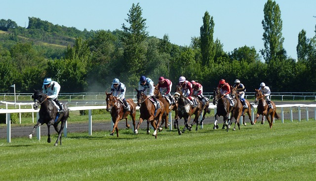 Gagner au PMU : technique du carré de 9