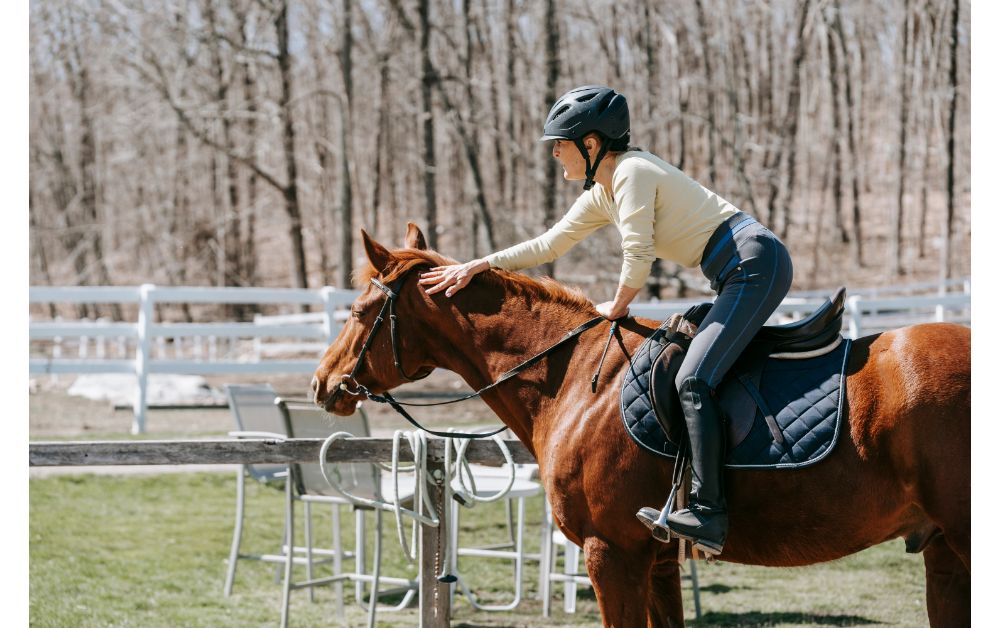 prix-chevaux-course